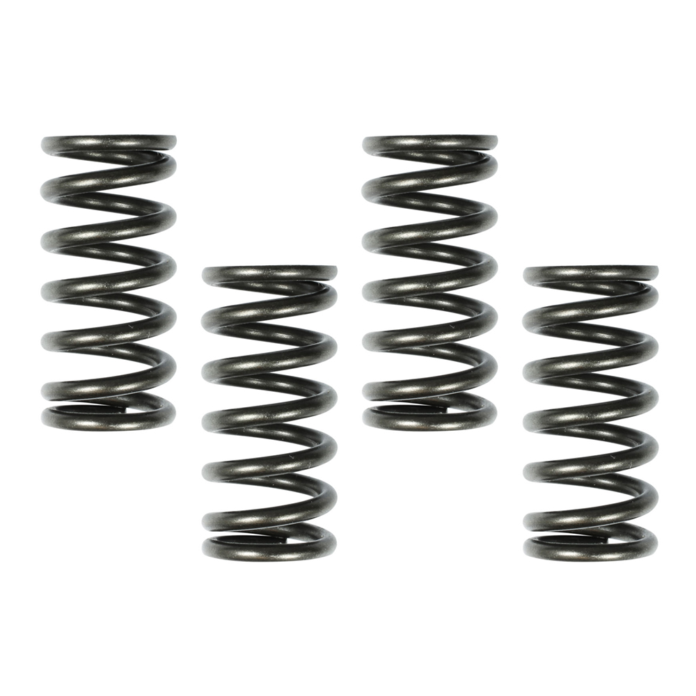 CLUTCH SPRING SET HONDA CR80 84-02, XR250 02-06